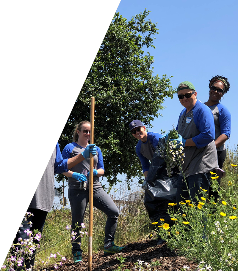 Crown Castle employees volunteering